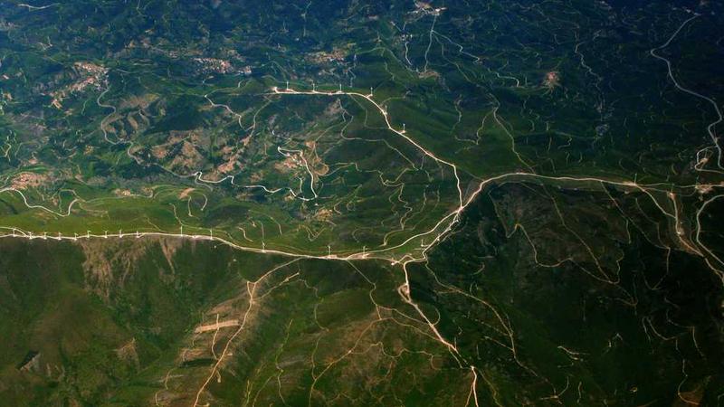 NapolyonBet bahis seçenekleri