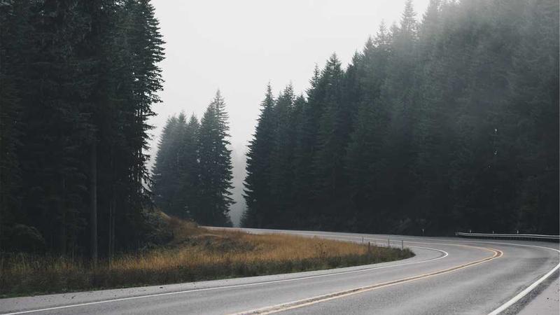 Bahis ve Eğlence Yolculuğu